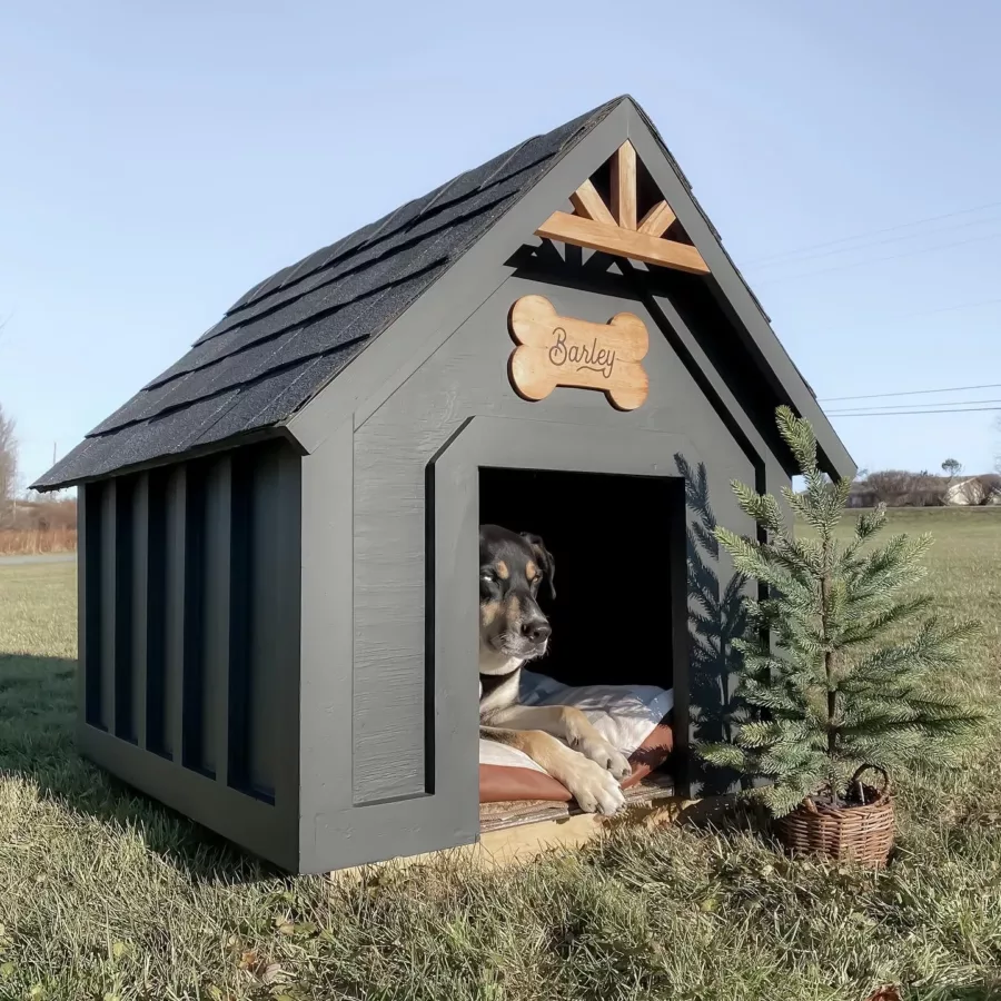 Building a dog house best sale from scratch