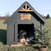 Dog House Plans